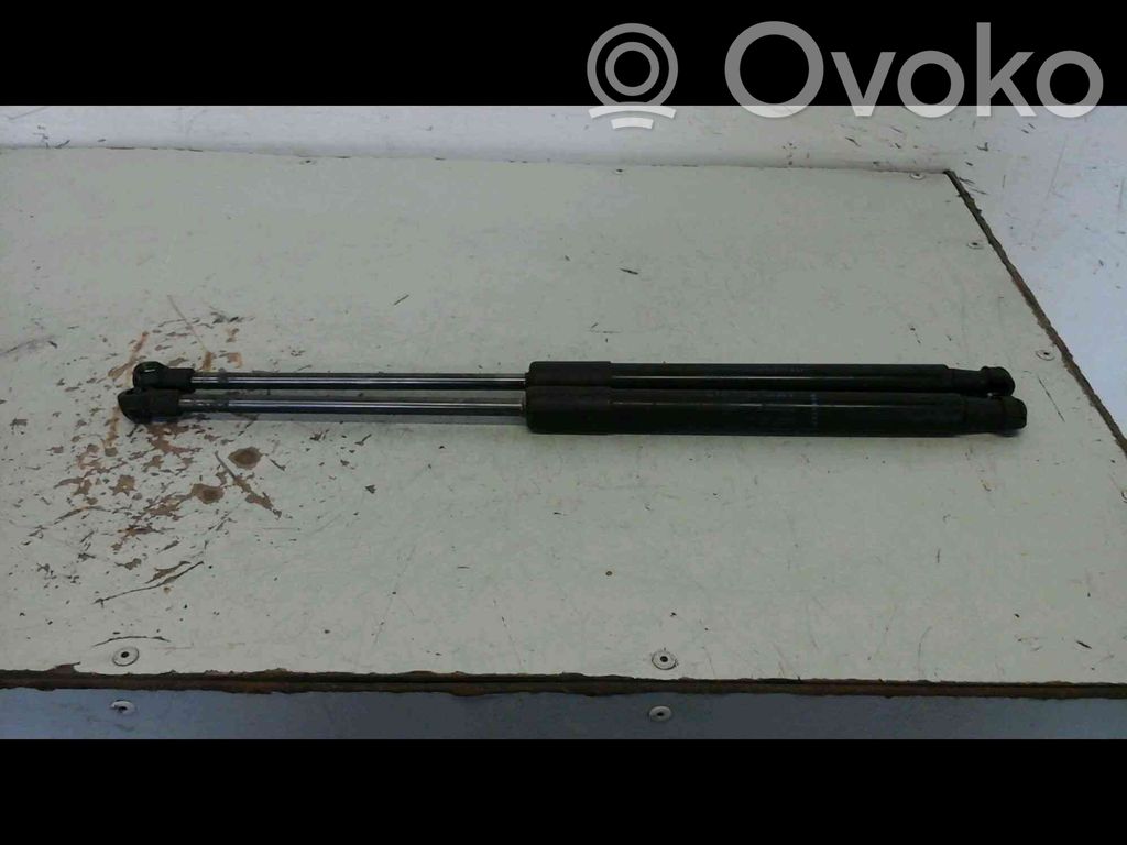 Renault Twingo II Ammortizzatore portellone posteriore/bagagliaio 