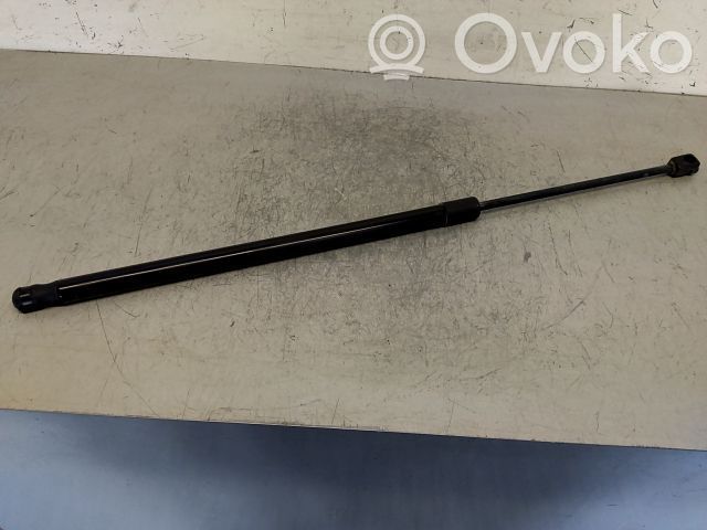 Tailgate/trunk strut/damper   1608899680,20243185,4863911,VDMS7