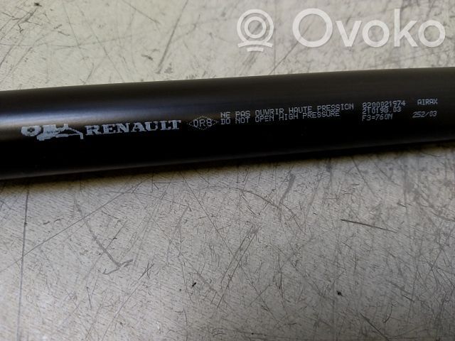 Tailgate/trunk strut/damper   8200021974,20243896,5213789,VDMS7