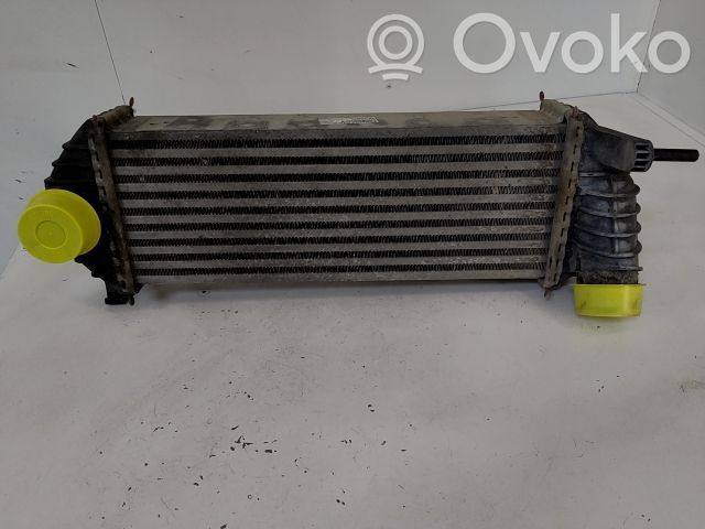 Intercooler radiator   8200427469,20251208,7790103,VDMS7