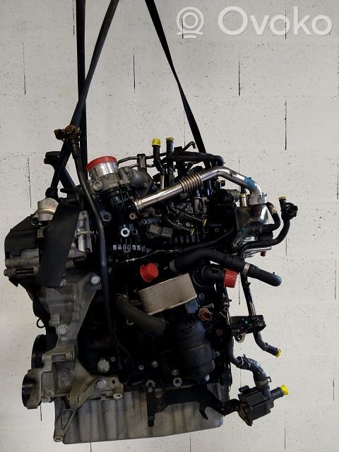 Volkswagen Transporter - Caravelle T1 Motor 