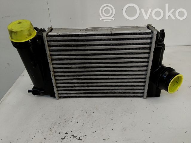 Intercooler radiator   144614EA1B,20243886,9943081,VDMS7