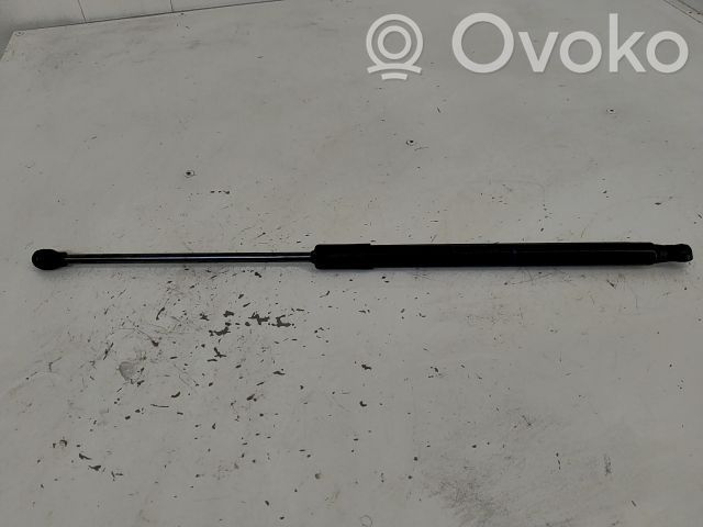 Amortyzator klapy tylnej bagażnika   904508213R,13689118,20251504,VDMS7