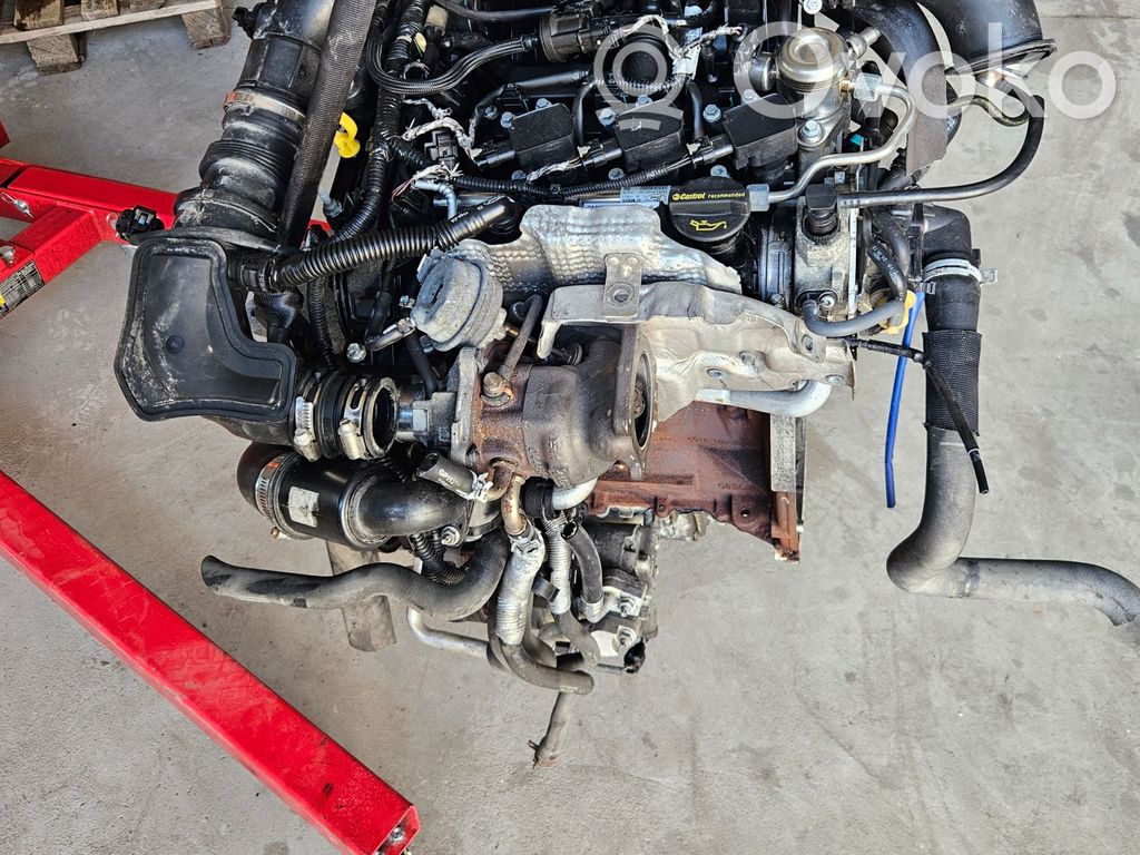 Ford Focus Variklis 