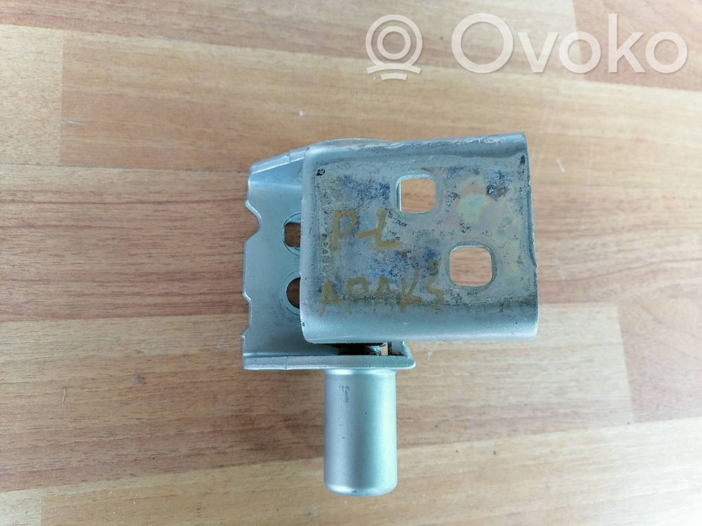 Renault Clio III Front door lower hinge 