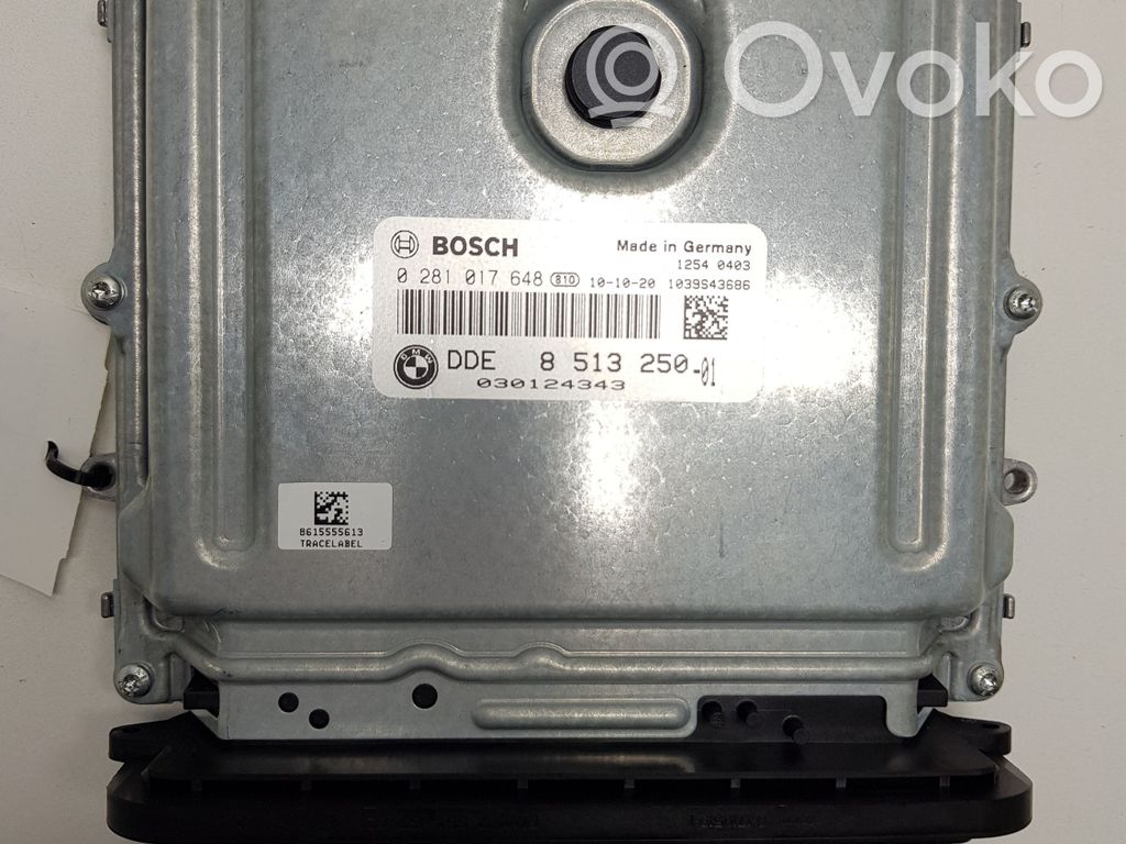 BMW 5 F10 F11 Engine control unit/module 