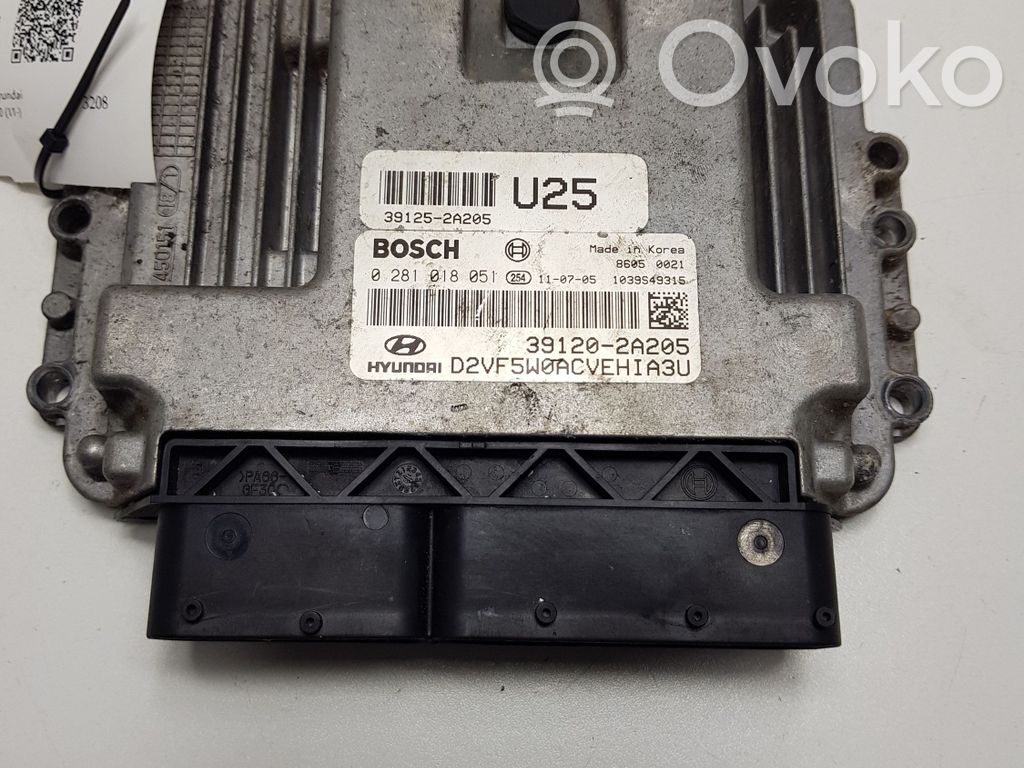 Engine control unit/module   391202A205,0281018051