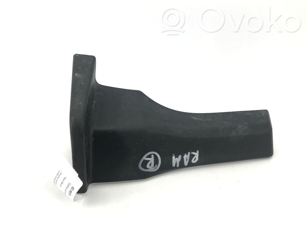 Ram 1500 Rear mudguard 