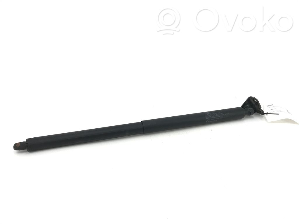 Ford Edge II Tailgate/trunk strut/damper 