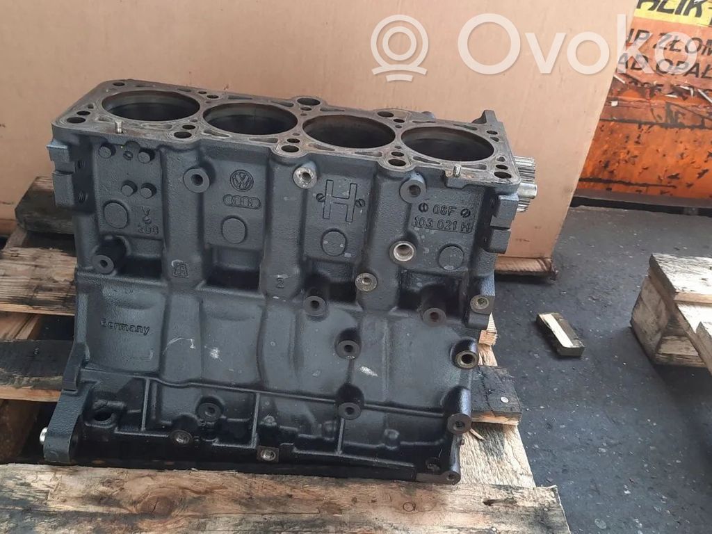 Bloque de motor   06F103021D