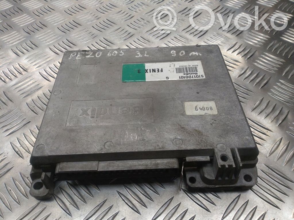 Engine control unit/module   S101700101G