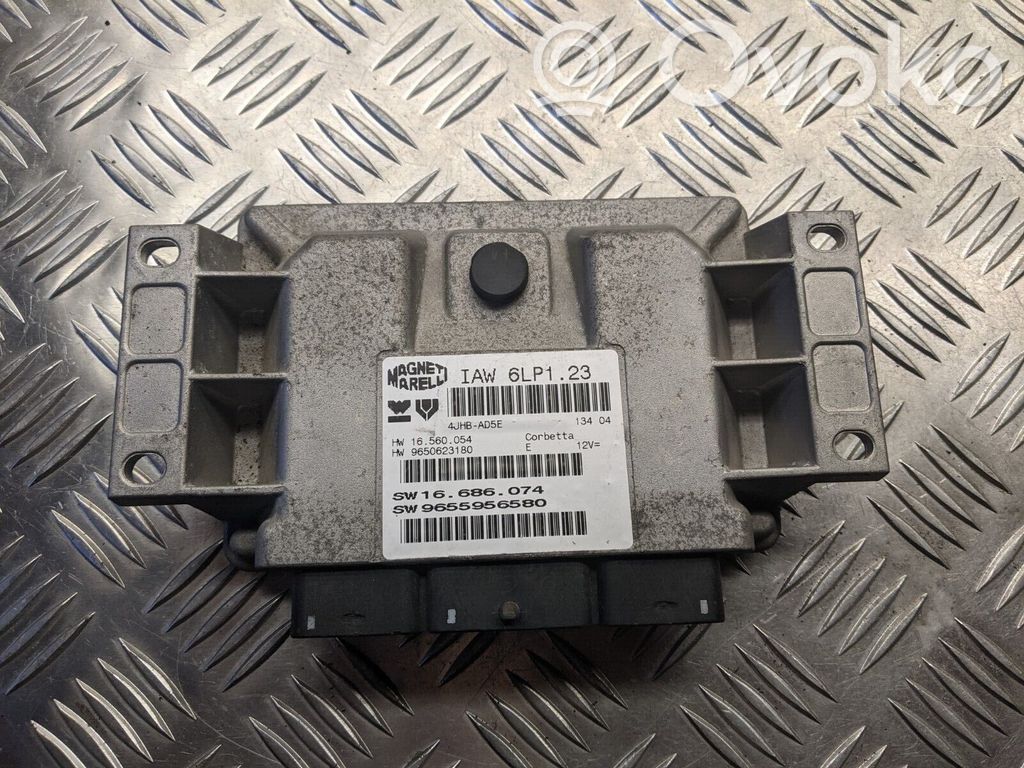 Citroen C5 Engine control unit/module 