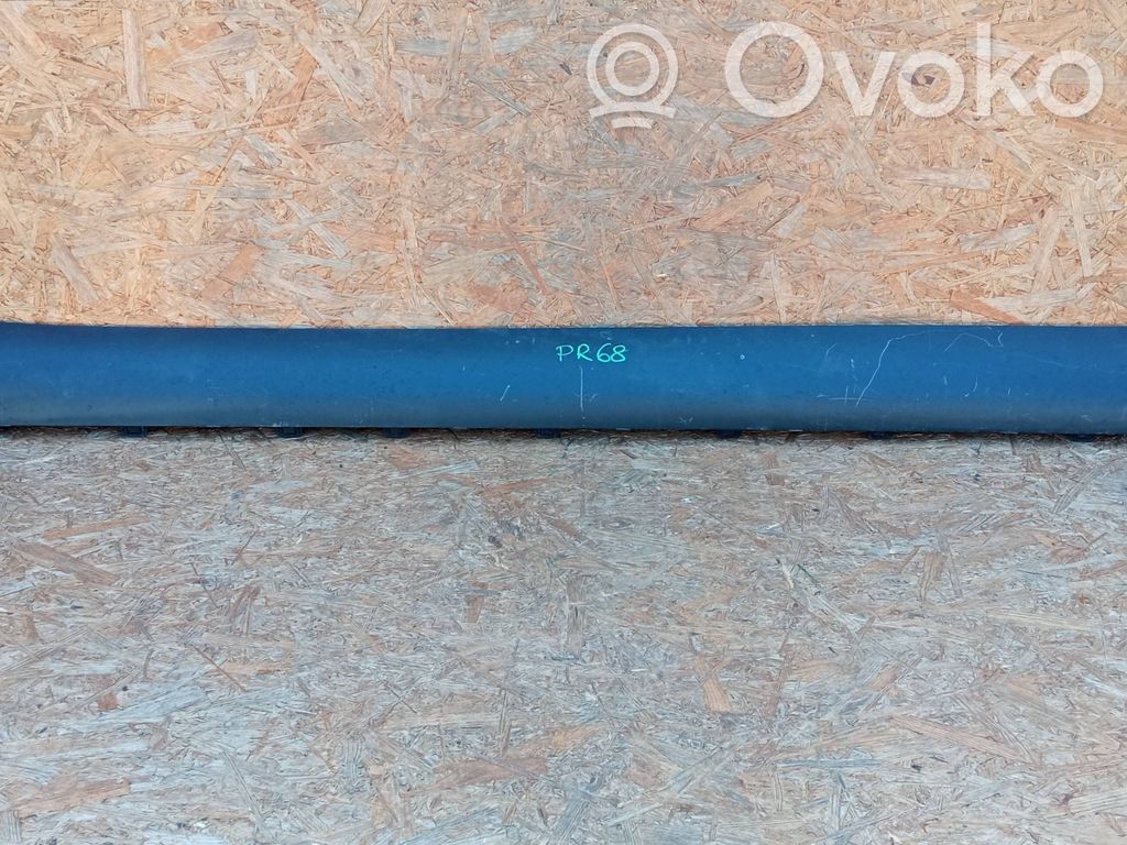 Tesla Model Y Priekinis slenkstis (kėbulo dalis) 