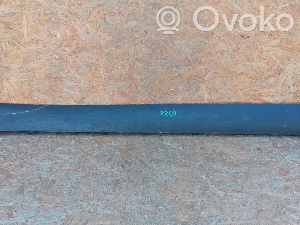 Tesla Model Y Priekinis slenkstis (kėbulo dalis) 