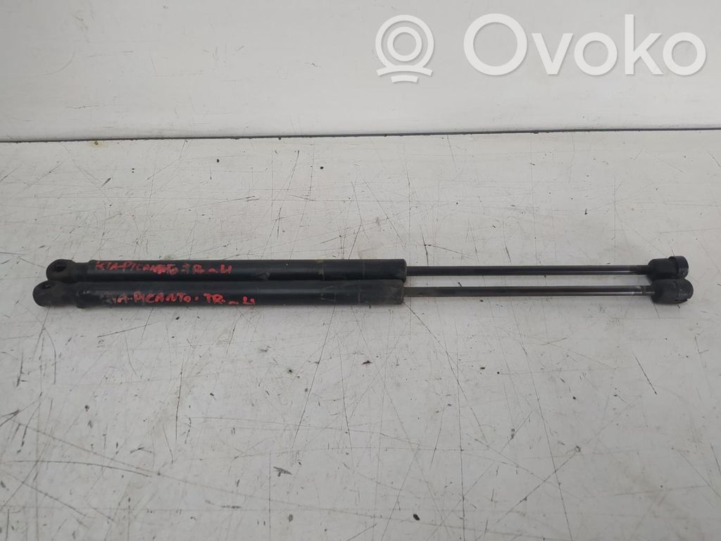 Tailgate/trunk strut/damper