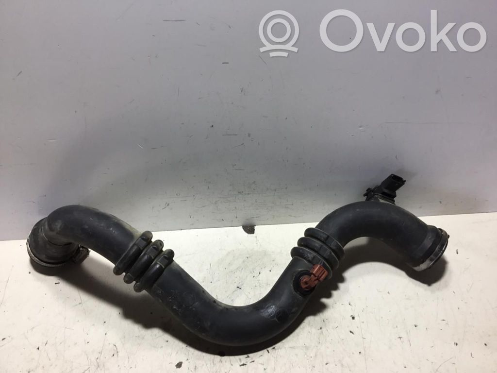 Turbo   8200295043B