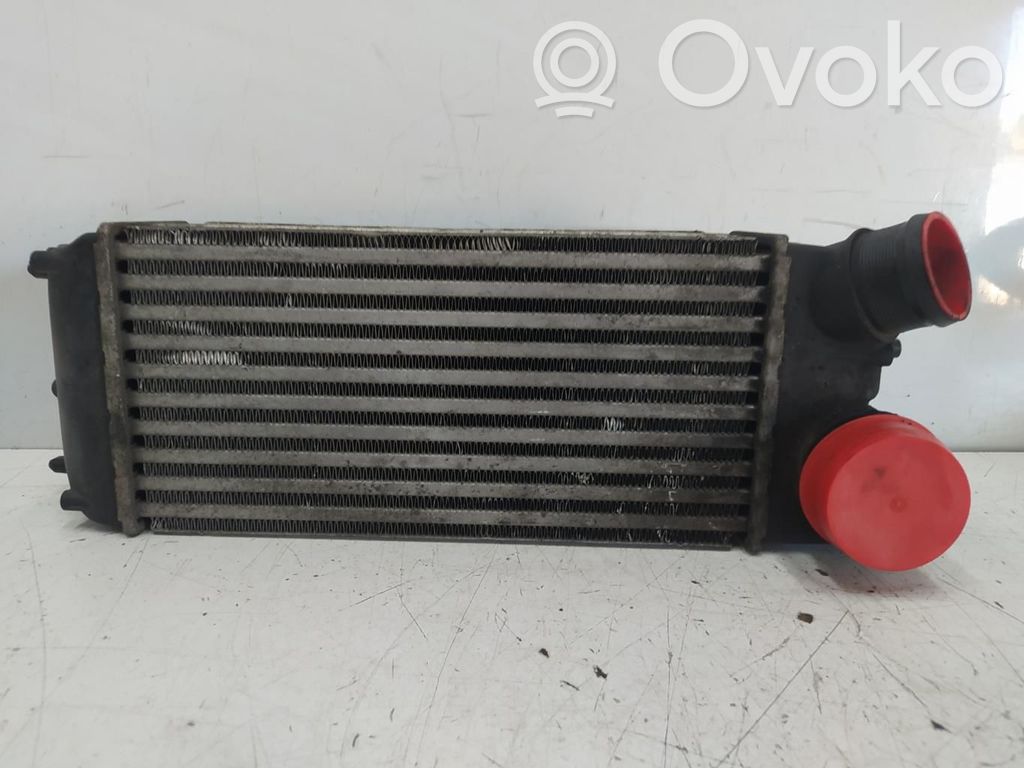 Ford Fiesta Radiator intercooler 