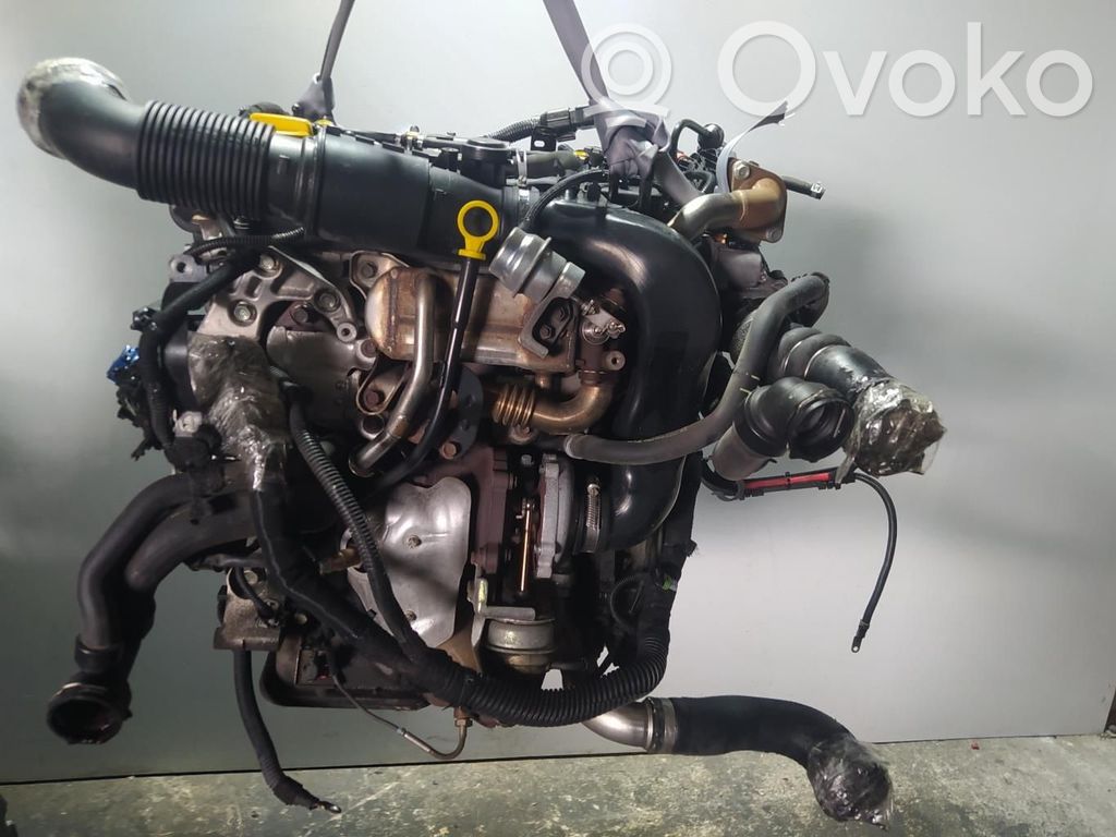 Motor   A17DTS