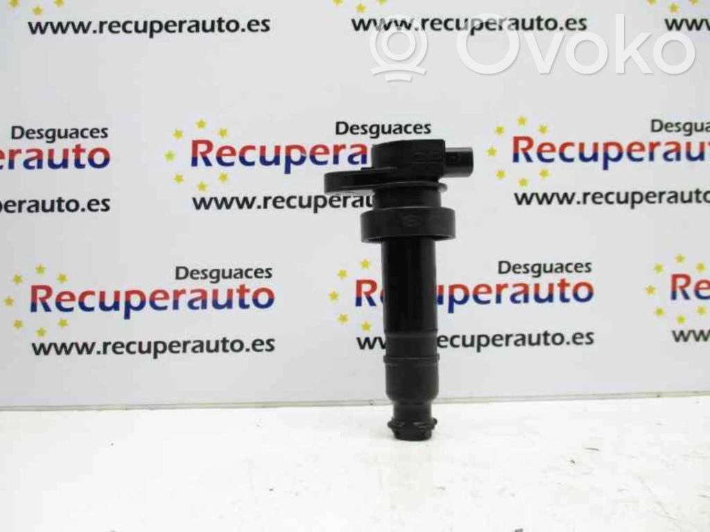 Bobina de encendido de alto voltaje   273012B010