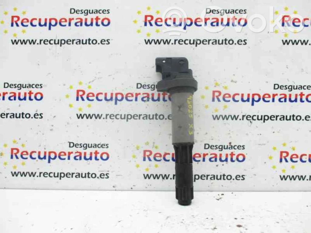 Aukštos įtampos ritė "babyna"   0221504100