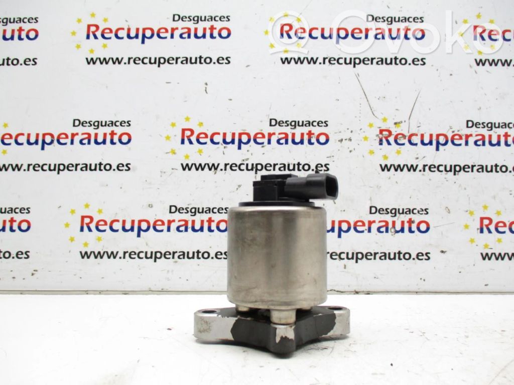 EGR-venttiili   98055