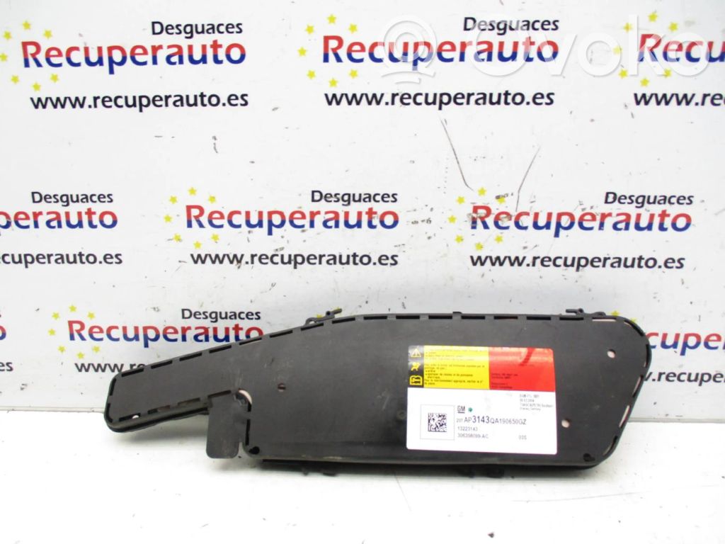 Airbag lateral   13223143