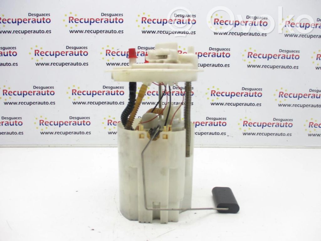 Bomba interna de combustible   13436580