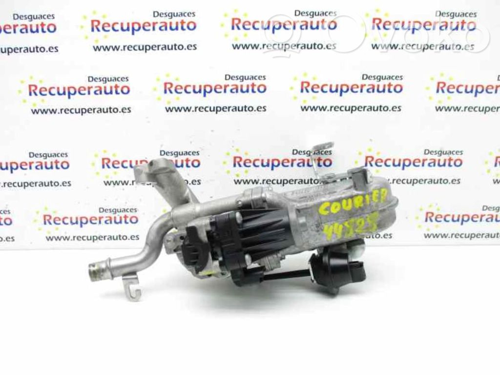 Válvula EGR   FM5Q9D475AA