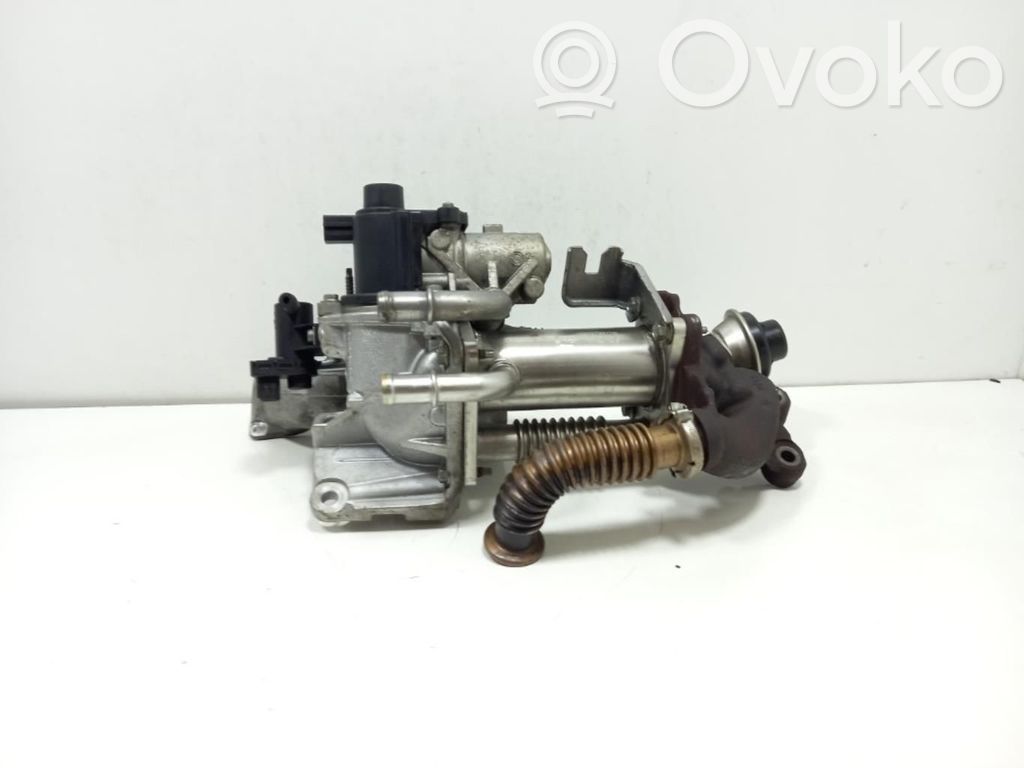 Válvula EGR   7003681405