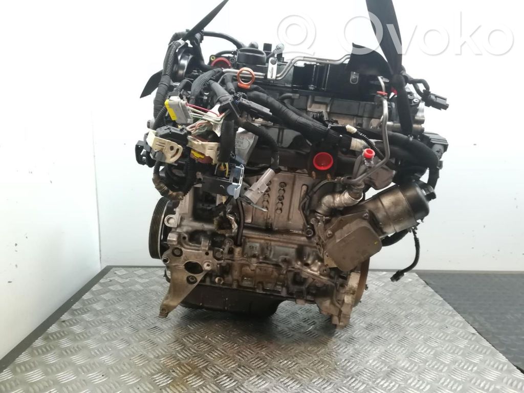 Motor   8HR