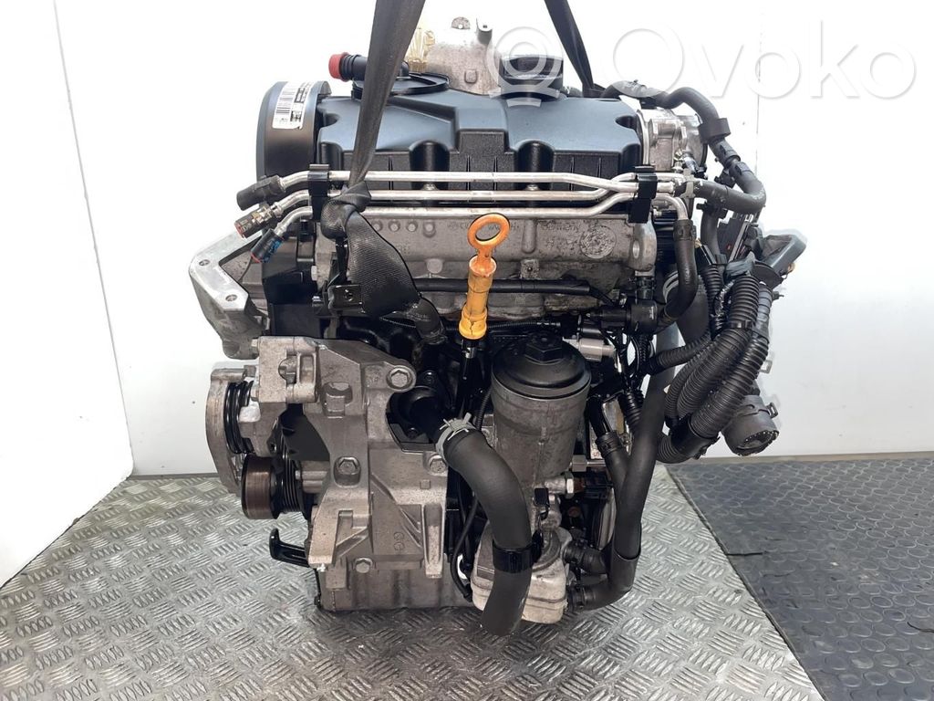 Seat Ibiza III (6L) Motor