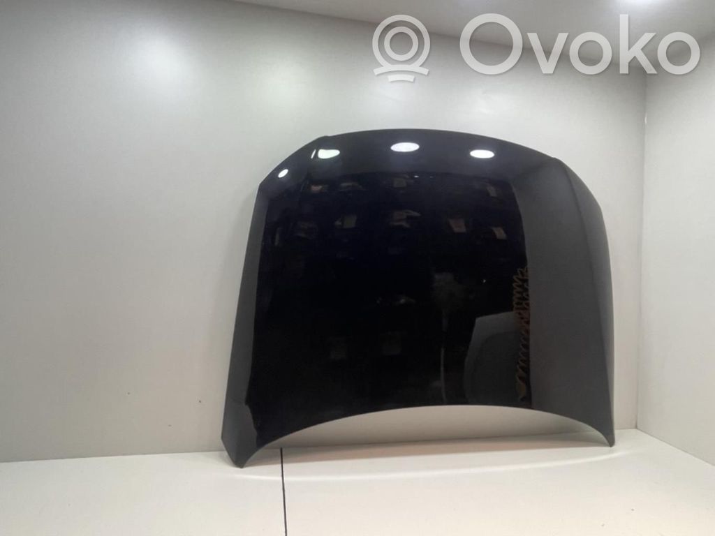 Vano motore/cofano