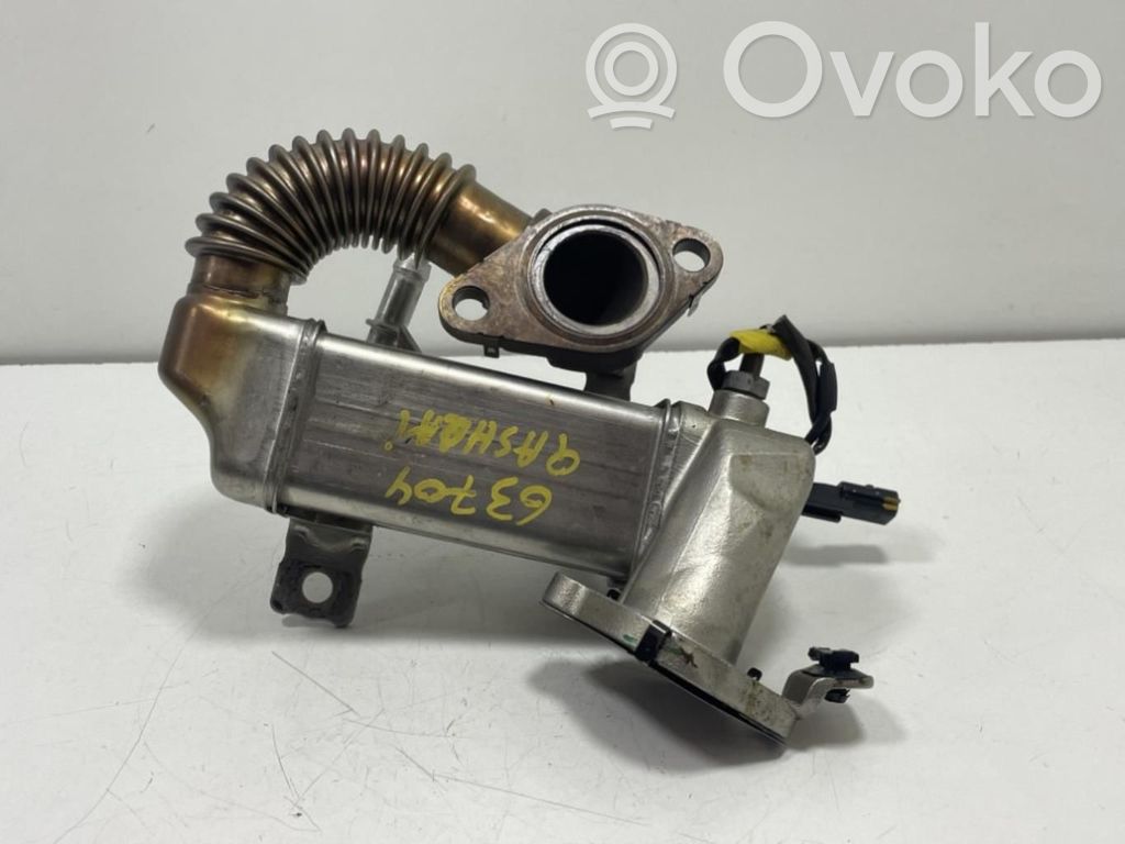 Nissan Qashqai Valvola di raffreddamento EGR 