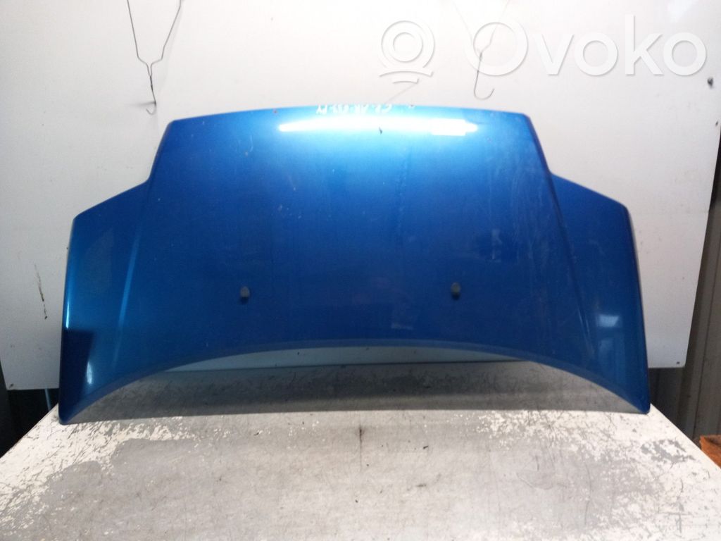 Dzinēja pārsegs (vāks)   7901K2
