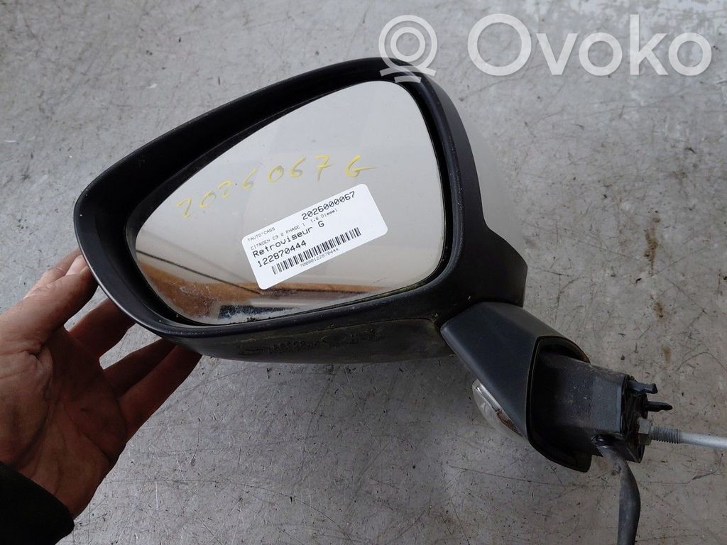 Citroen C3 Manual wing mirror 
