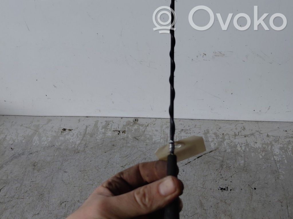 Citroen C3 Antenna autoradio 