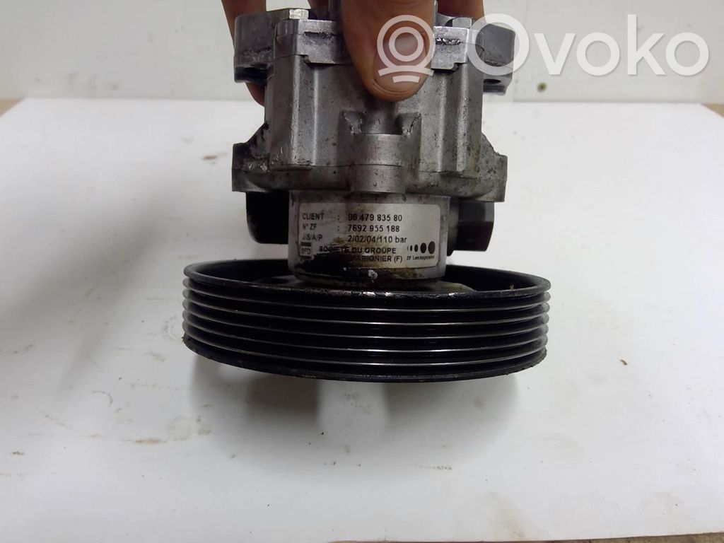 Power steering pump   4007EP