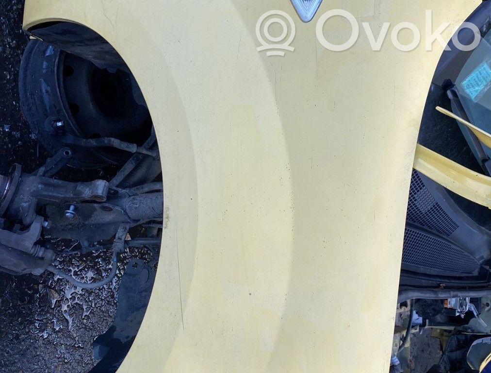 Renault Kangoo II Fender 