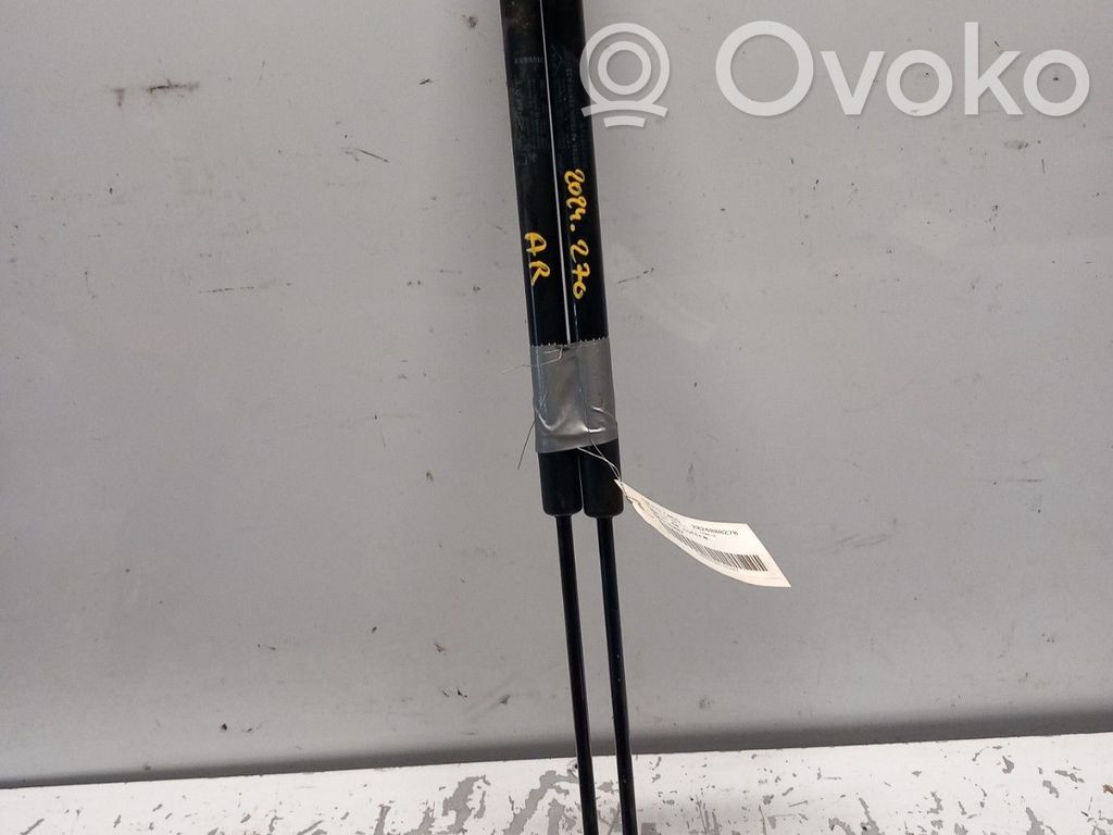 Tailgate/trunk strut/damper   904520002R