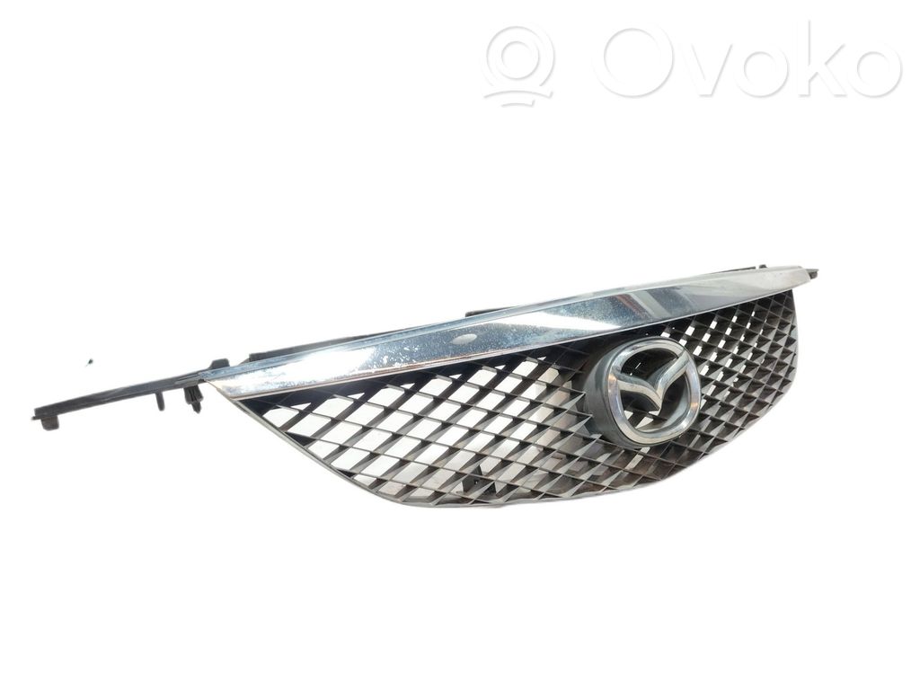 Front grill   C10050712