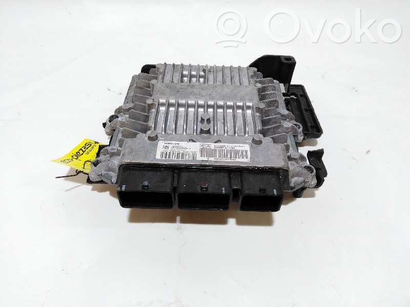 Peugeot 407 Engine control unit/module 