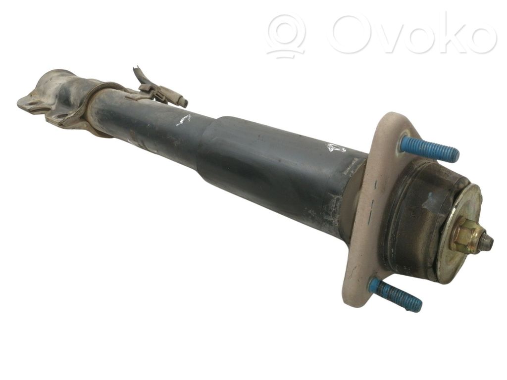 Stoßdämpfer Federbein   V4408