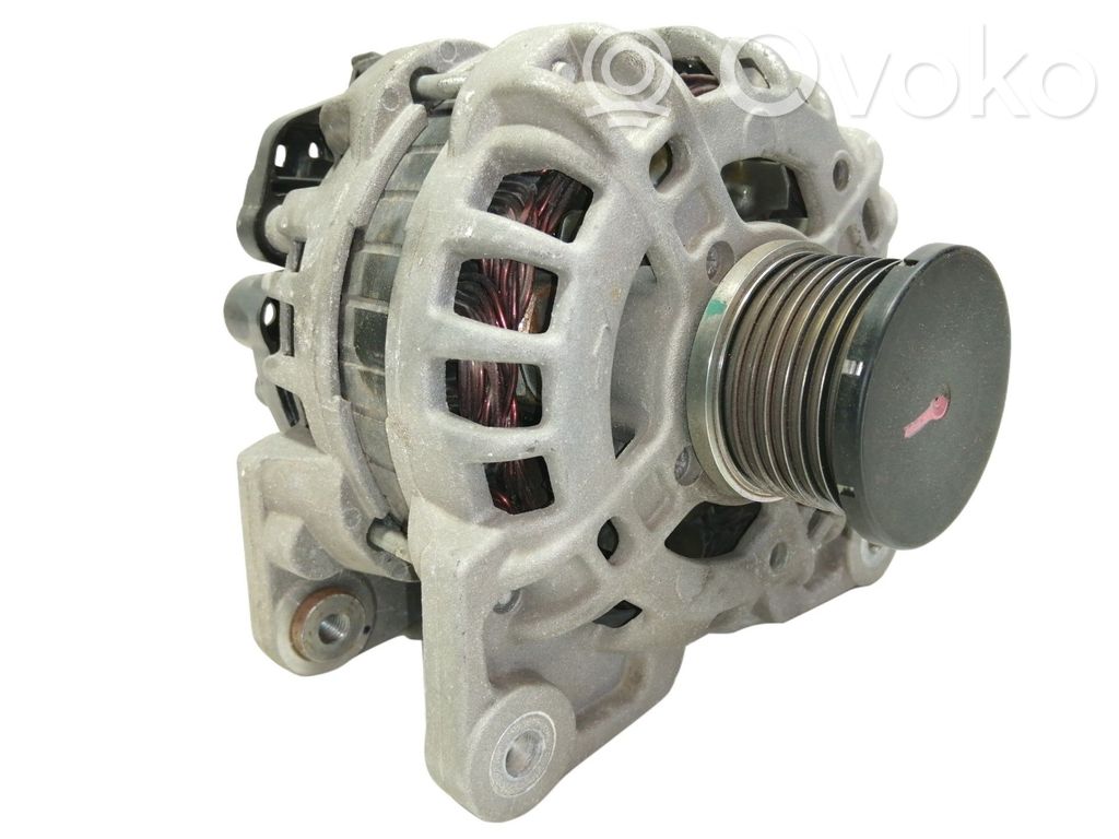 Alternador   231008593R
