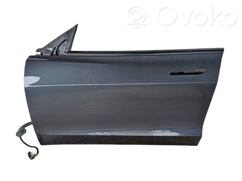 Puerta delantera   1081439S0G,10814221ECC