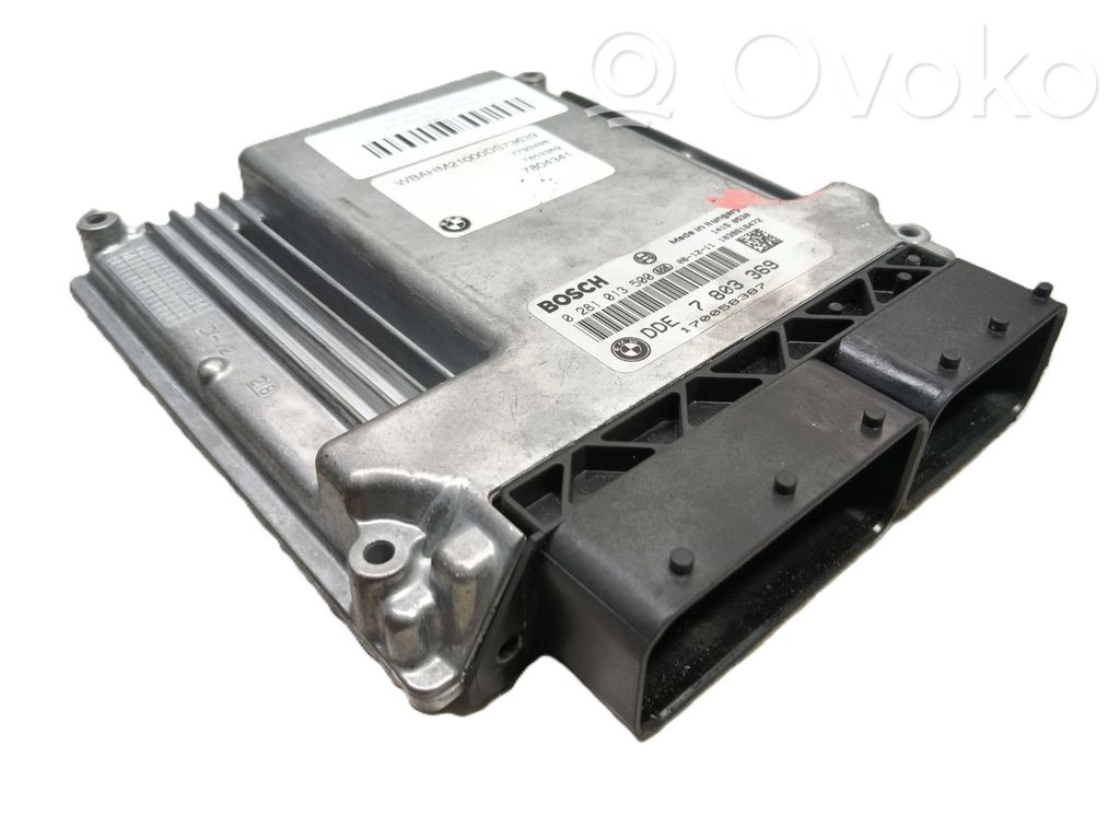 Engine control unit/module   13617808222,7803369