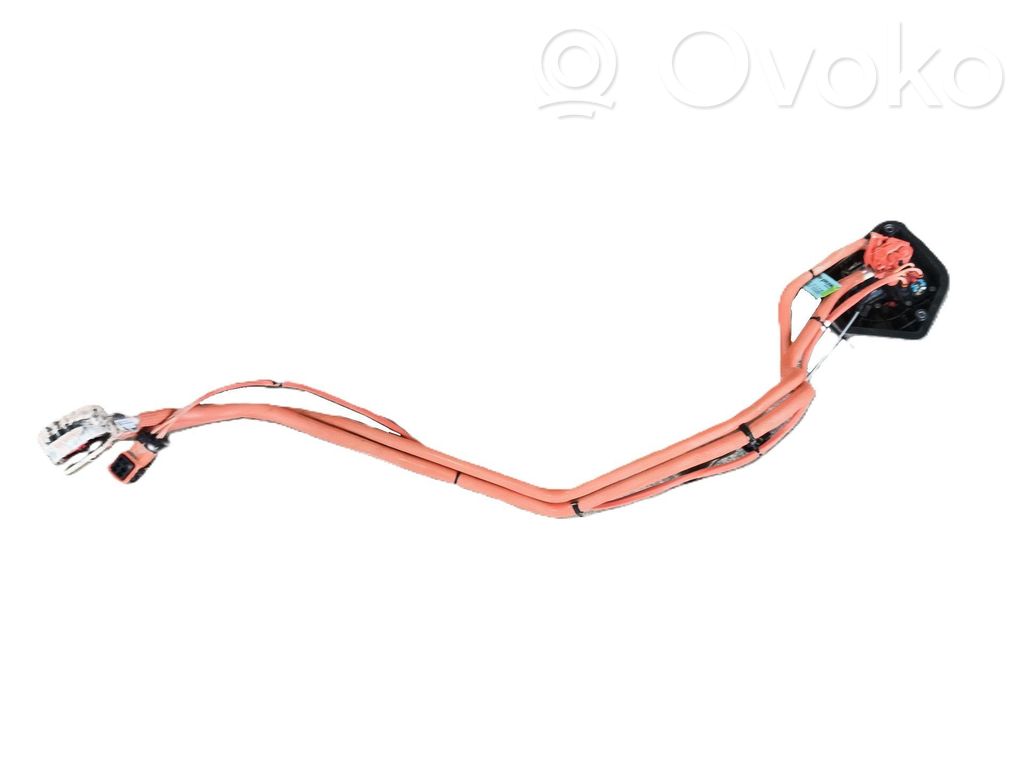 Tesla Model S Other wiring loom 