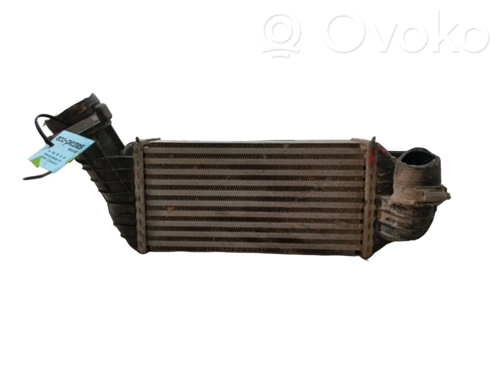 Intercooler radiator   384P8,W9084002