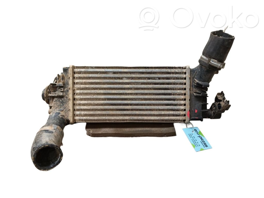 Intercooler radiator   2524812,MM12454