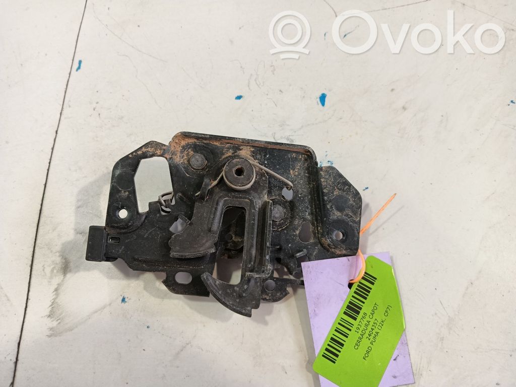 Ford Puma Tvirtinimo kablys / kilpa 