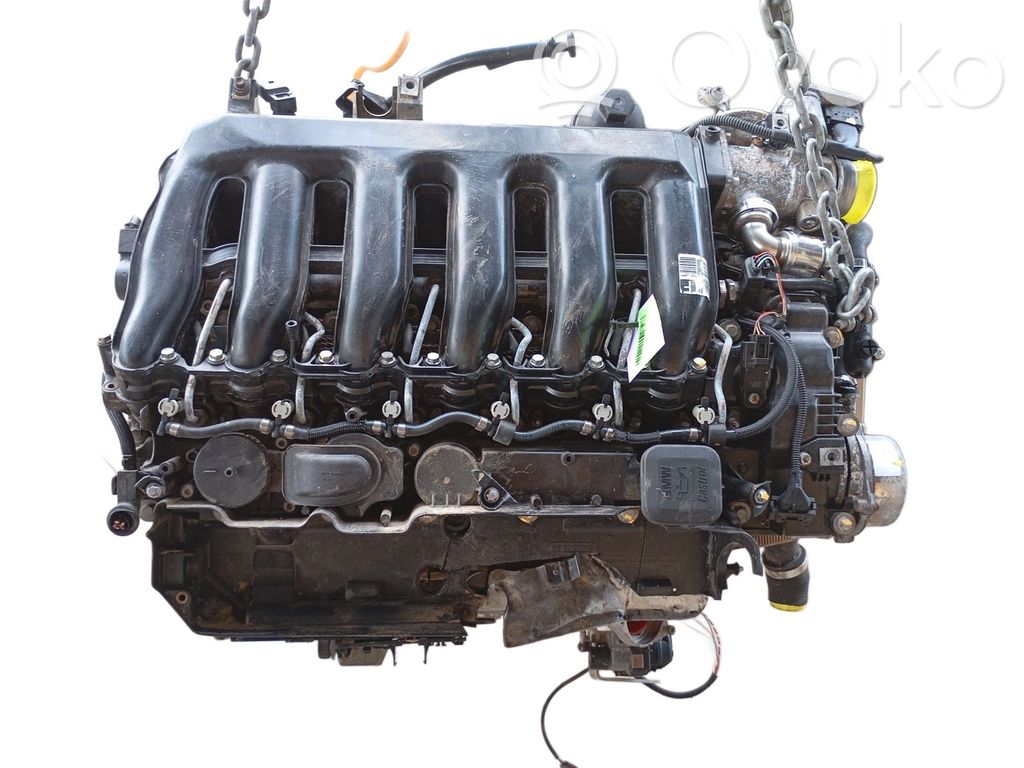 Variklis   77928211120